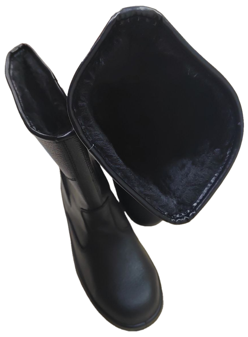 Сапоги ТЕКТОНИТ с композитным подноском утепленные